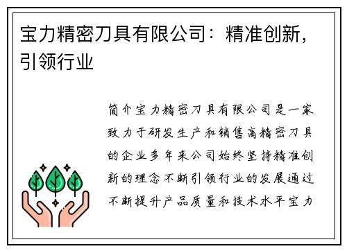 宝力精密刀具有限公司：精准创新，引领行业